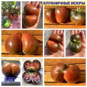 КЛУБНИЧНЫЕ ИСКРЫ