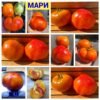 МАРИ
