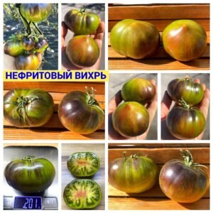 НЕФРИТОВЫЙ ВИХРЬ