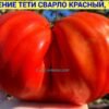 НАСЛАЖДЕНИЕ ТЕТИ СВАРЛО КРАСНЫЙ 14709