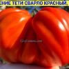 НАСЛАЖДЕНИЕ ТЕТИ СВАРЛО КРАСНЫЙ 14710