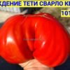 НАСЛАЖДЕНИЕ ТЕТИ СВАРЛО КРАСНЫЙ 14714