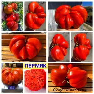 ПЕРМЯК