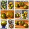 СЕРДЦЕ СЮРПРИЗА