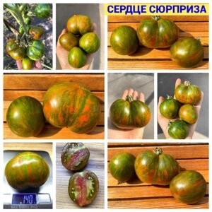 СЕРДЦЕ СЮРПРИЗА