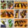СЕРЬГИ РЕБЕЛЛЫ