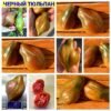ЧЕРНЫЙ ТЮЛЬПАН