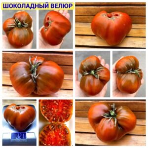 ШОКОЛАДНЫЙ ВЕЛЮР