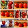 ЯГОДА КРАСНАЯ