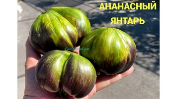 Ананасный янтарь-6++