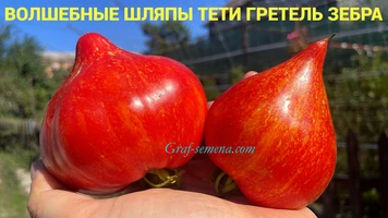 Волшебные_шляпы_тети_Гретель_Зебра_3++