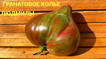 Гранатовое колье Людмилы-7++