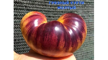 Грязный Курти желтый1-4++