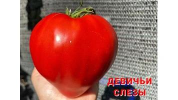 Девичьи слезы5 супер++