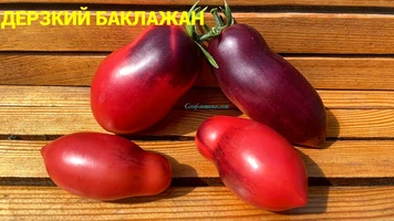 Дерзкий баклажан6++