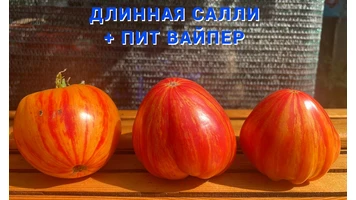 Длинная Салли+Пит Вайпер5++