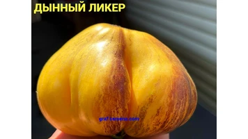 Дынный ликер-999999++