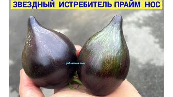 Зв.Истребитель Прайм НОС-сент3++