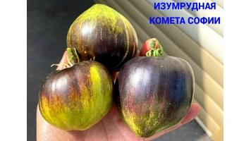 Изумрудная комета Софии -999++
