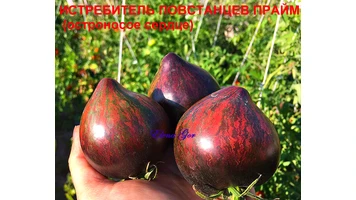 Истребитель Прайм остроносый6++