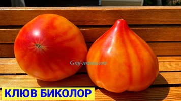 Клюв БИ -1++