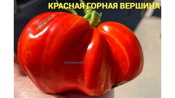 Красная горная вершина-6++
