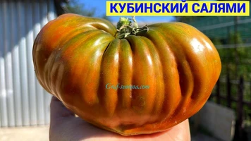Кубинский салями-7++