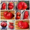 ЛАНДСХУТСКИЙ ВЕЛИКАН