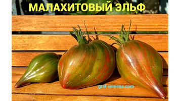 Малахитовый эльф-9++