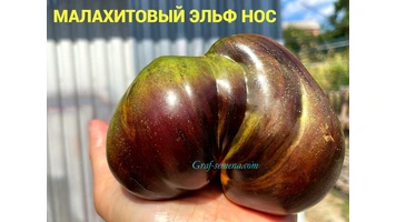 Малахитовый эльф НОС-999999999++