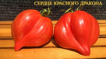 Сердце красного дракона1++