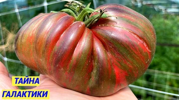 Тайна галактики-9++