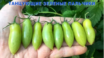 Танцующие зеленые пальчики3++