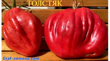 Толстяк-8++