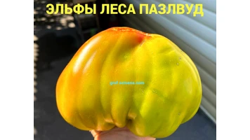 Эльфы леса Пазвул -99991++